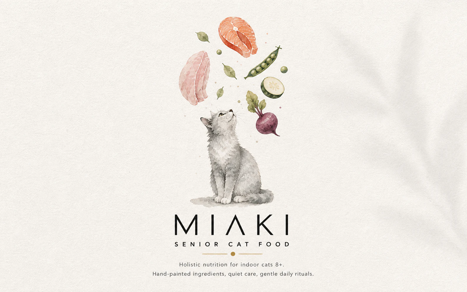 Miaki visual 4