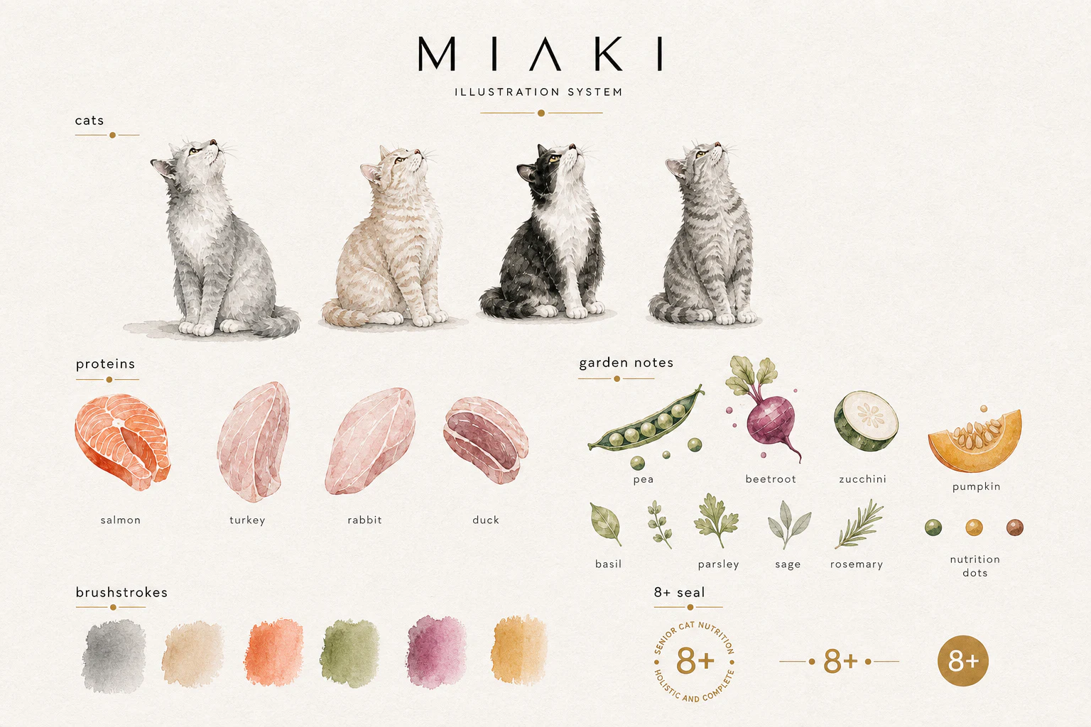 Miaki visual 7