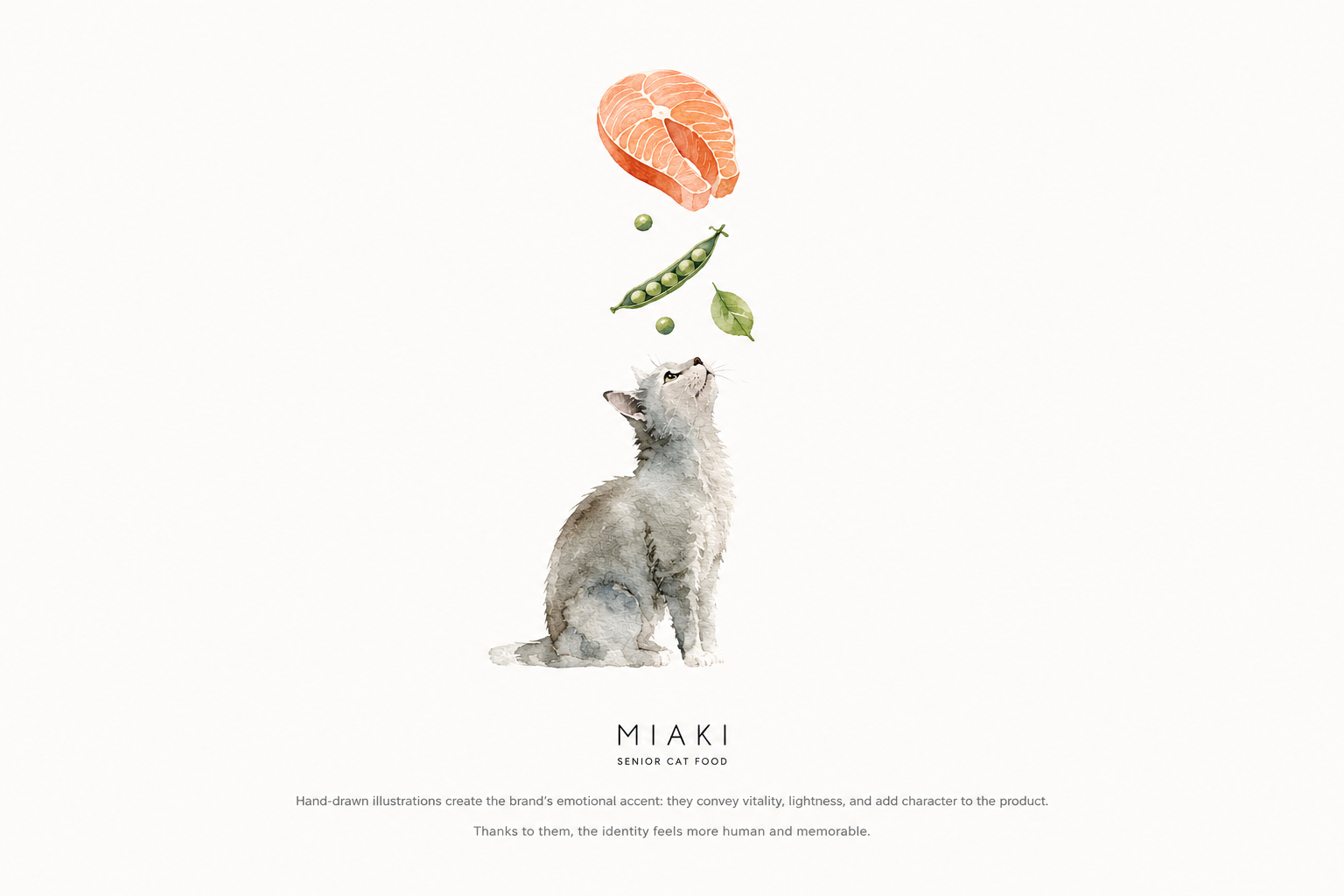 Miaki visual 2