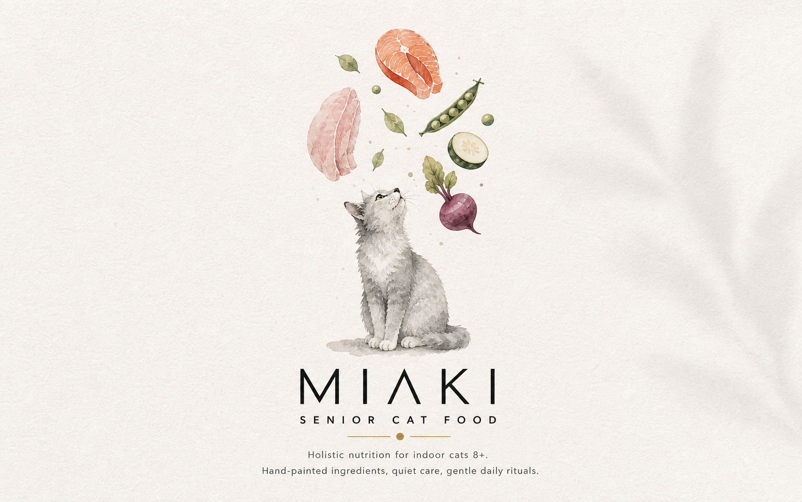 Miaki visual 4